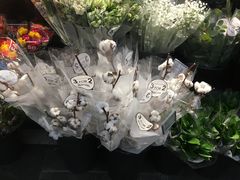 -奥斯陆歌剧院