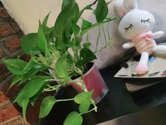 -湘邻呷铺·田园家宴(汉基广场店)