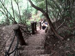 android_upload_pic-剑门关风景区