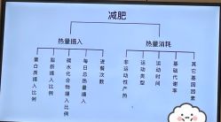 -Fundi张玉珊修身堂·indiba·BTL科技瘦身