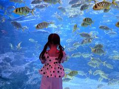 -海合安成都极地海洋公园