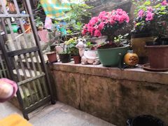 -鱼乐岛餐厅·户外花园主题餐厅