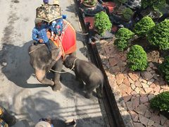 -东芭乐园