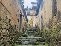 -杨家堂村