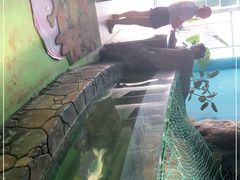 -邯郸海洋世界