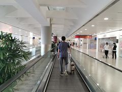 -上海浦东国际机场-T2航站楼