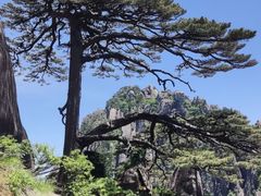 -黄山风景区