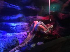 -沈阳海洋探索中心