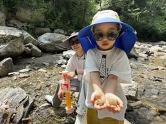 -少华山国家森林公园