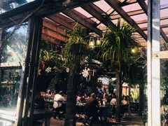 -The Grounds of Alexandria