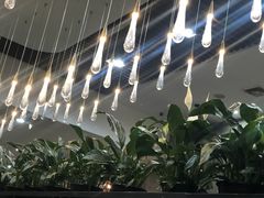 -指爱龙虾(金杨路总店)