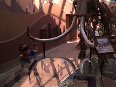 -陕西自然博物馆