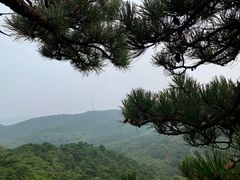 -鲁山国家森林公园