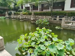-苏州吴宫泛太平洋酒店