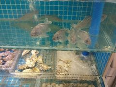水产区-良师门滨海人家·海鲜·家常菜(滨海城店)
