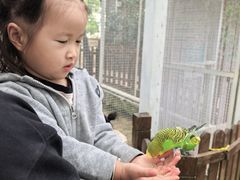 -杭州千岛湖开元度假村