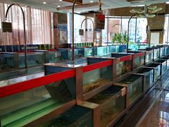 自助取餐区-都来福海鲜大酒店(大东店)