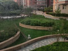 -华夏良子·足道SPA艾灸(中关村旗舰店)