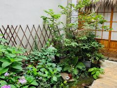 -边渡咖啡烘焙店(昙华林店)