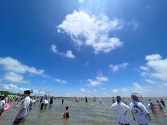 -碧海金沙