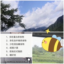 点击看大图 -梵隐SPA