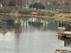 -尚贤河湿地