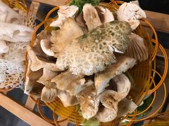 -易门野生菌府·菌海森林(月牙潭公园店)