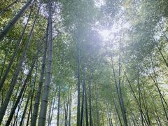 -南山风景名胜区