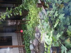 点击看大图 android_upload_pic-爱儿美儿童摄影(朝阳公园店)