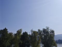 -地摊风云龙虾烧烤铺(裕民店)
