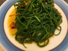 凉拌沙葱-巴依老爷新疆美食(魏公村店)
