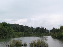 -黑龙潭公园