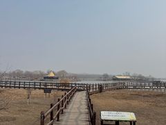 -西青郊野公园