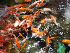 -太平洋海底世界