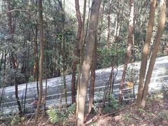 -浏阳石牛寨风景区