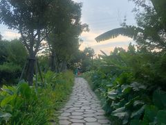 -美的鹭湖探索王国