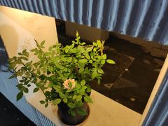 -鸡柳大人鸡柳年糕薯条(农贸云创店)