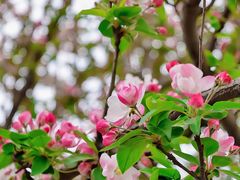 -元大都城垣遗址公园