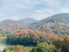 -白马涧龙池景区