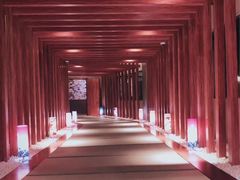 -重庆南山海昌汤都