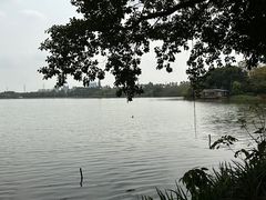 -海珠湖公园