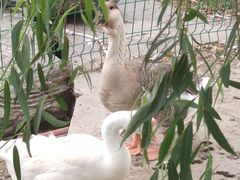 -长安大学(北校区)