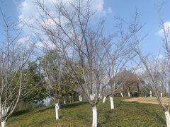 -良渚古城遗址公园