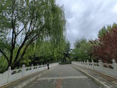 -大望京公园