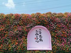 -佛手湖郊野公园