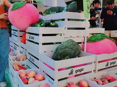 -gaga(深圳福田星河COCO Park店)