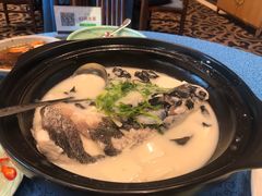 -老淳安—伴山伴湖(千岛湖开元度假村店)