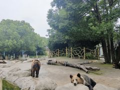 -无锡动物园·太湖欢乐园