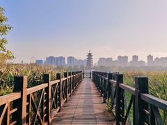 -洋湖国家湿地公园