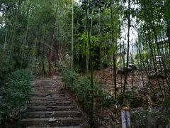 -明月山天沐温泉度假村